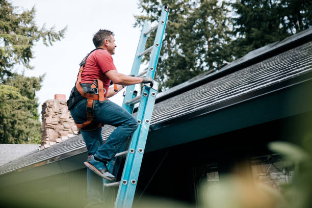 Best Steel Roofing  in Shelby, MT